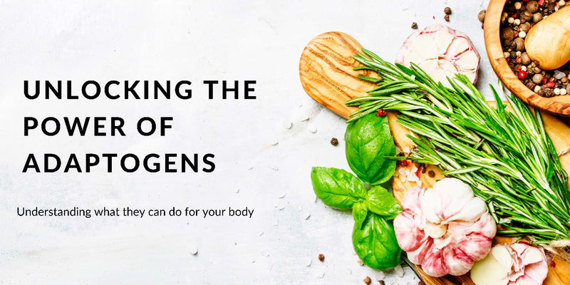 Unlocking the Power of Adaptogens: Understanding What They Can Do for Your Body
