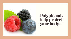 What are Polyphenols/ Phytophenols?